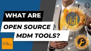 Harnessing Open Source Power: Mastering Data Management | Open Source MDM Tools