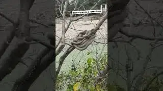 Весна в Сочи имеет и другую сторону медали