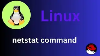 21/50 Basic Linux Commands | netstat command Explained 
