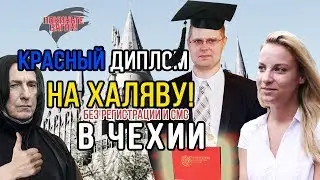 Диплом в Чехии НАХАЛЯВУ! / ПОКИНЬТЕ ВАГОН