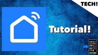 🎬 TUTORIAL | Smart Life mit ALEXA | GOSUND WLAN Glühbirne verbinden und NUTZEN! 📲
