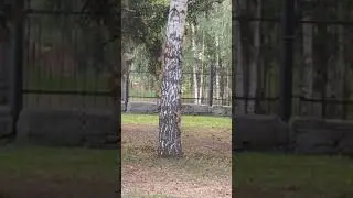 6 августа 2024 г.
