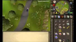 Runescape 2007 clue scroll - In a town where everyone has perfect vision