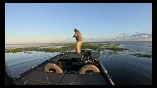 Catching an 8 pounder punching mats - LISTEN TO THAT LINE SING!
