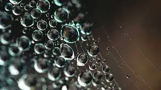 Relaxation Music | Light Rain | Ambience Sounds | Ambient Sounds | Sleep Sounds