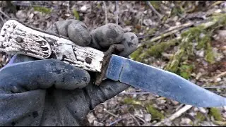ПУСТЫМ из ЛЕСА не уезжаю....