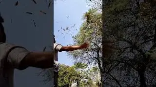 বাতাসে বসন্ত, Spring in the Air, Beauty of Nature, Dhere Dhere se...
