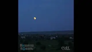 Михайло Коваль  - Сад