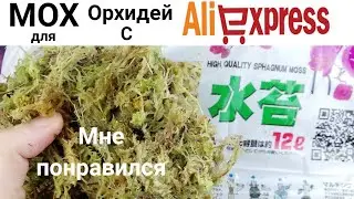 Орхидеи. Китайский мох сфагнум  с Алиэкспресс Для ОРХИДЕЙ. Moss Sphagnum with AliExpress.