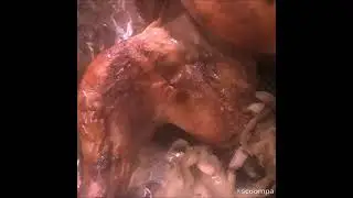 Курица с начинкой и с картошечкой в духовке😋
