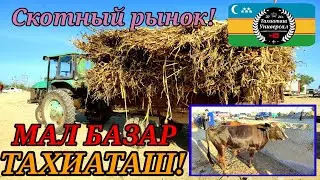 МАЛ БАЗАР СКОТНЫЙ РЫНОК 