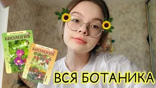 ВСЯ БОТАНИКА для ОГЭ и ЕГЭ с биоробота 🌾