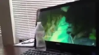 Water Bottel Flip