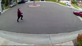 idiot neighbor