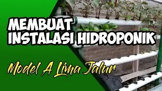 Make a 5-level hydroponic installation using 2.5-inch pvc at an economical cost