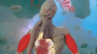 This Is Why I Won't Ever Trust the Emperor