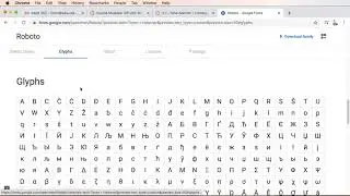 01 get roboto google font and install