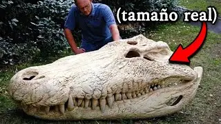 Agradecerás Que Estos Monstruos Ya Están Extintos...