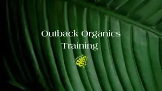 Outback Organics Training #waxhairremoval #waxingtips #waxing #beautytips #beautyhacks