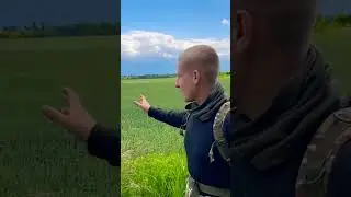 Где леса мои!? #shorts #fishing #short #asmr