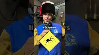 What are you afraid of?? 🕷️😱🌊