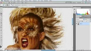 Isolating an object with a complex shape in Photoshop CS5