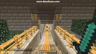 Server Review-Pure Pvp