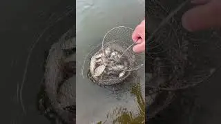 Как вам результат за 4часа ?