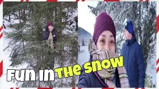 THE BEAUTY OF WINTER/Lisa Vlog