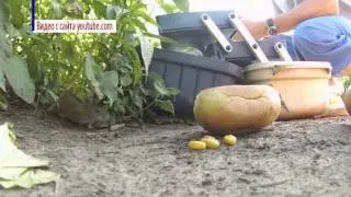 Новости Сарова 10 02 2015 с ведущим