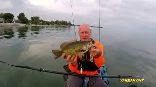 Catching bass on the popper top water Lake Erie