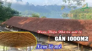Completion of a Giant 1000m² Bamboo House with a Thatched Roof in the Beautiful Hoa Binh Lake