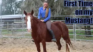 First Time on my Mustang!!! | December 2023 Update