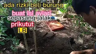 lepasin burung ke alam