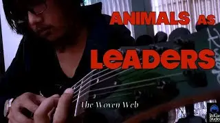 ANIMALS AS LEADERS - The Woven Web Guitar Cover