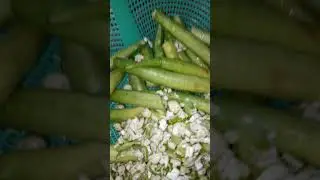 #shorts/ você sabe que você pode congelar o quiabo? se você não sabia  fique sabendo agora!!