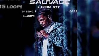 Lil Baby Loop Kit / Sample Pack 2022 - 