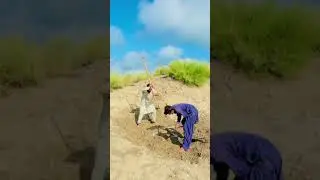 Best Funny Video 😂😂 don't miss end