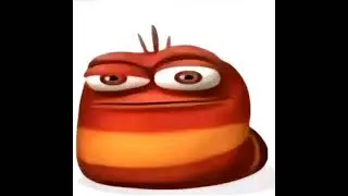 oi oi oi