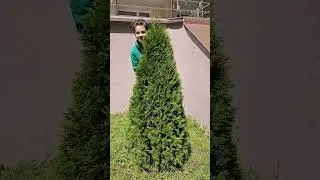 и улетел на луну бим бам бум