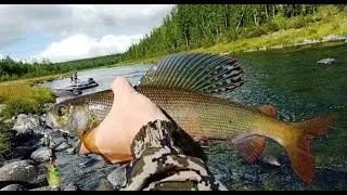 За хариусом на очередную горную реку! Часть 2