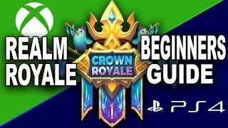A Beginners Guide To Realm Royale!