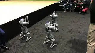 Unitree Go2 quadruped robot at GTC 2024 - Sites and Sounds
