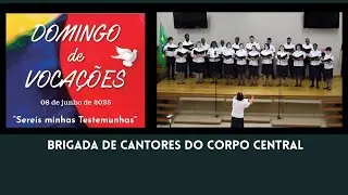 Sereis Minhas Testemunhas - Domingo de Vocações