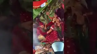 Viral Video: Fierce Fight Breaks Between Bride & Groom on Wedding Mandap, Guests Stunned 