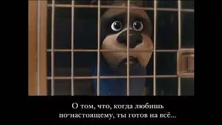 Всё, что нужно знать о любви