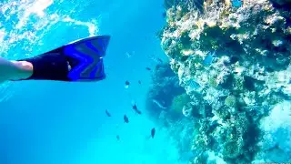 Под водой (Red Sea)