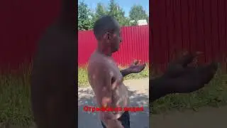 Дед наказывает молодого  #дедус #дедолег #ufc #драка #кипиш