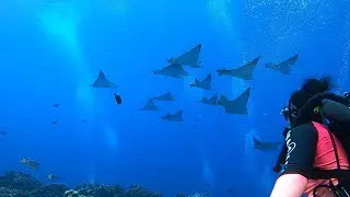 Saipan Dives 2020
