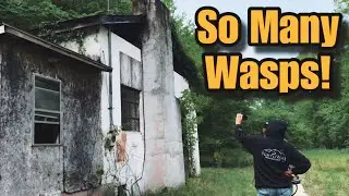 Exterminating Wasps in Abandoned Trap House - with Nate Petroski